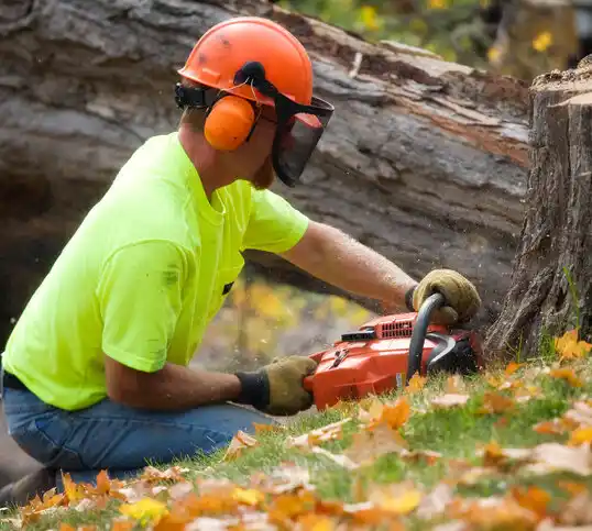 tree services Fletcher